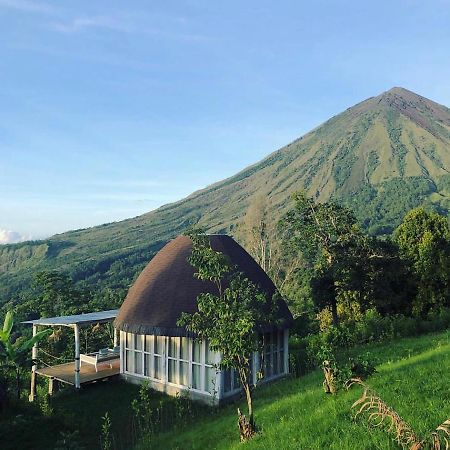 Manulalu Jungle Hotel Bajawa Buitenkant foto